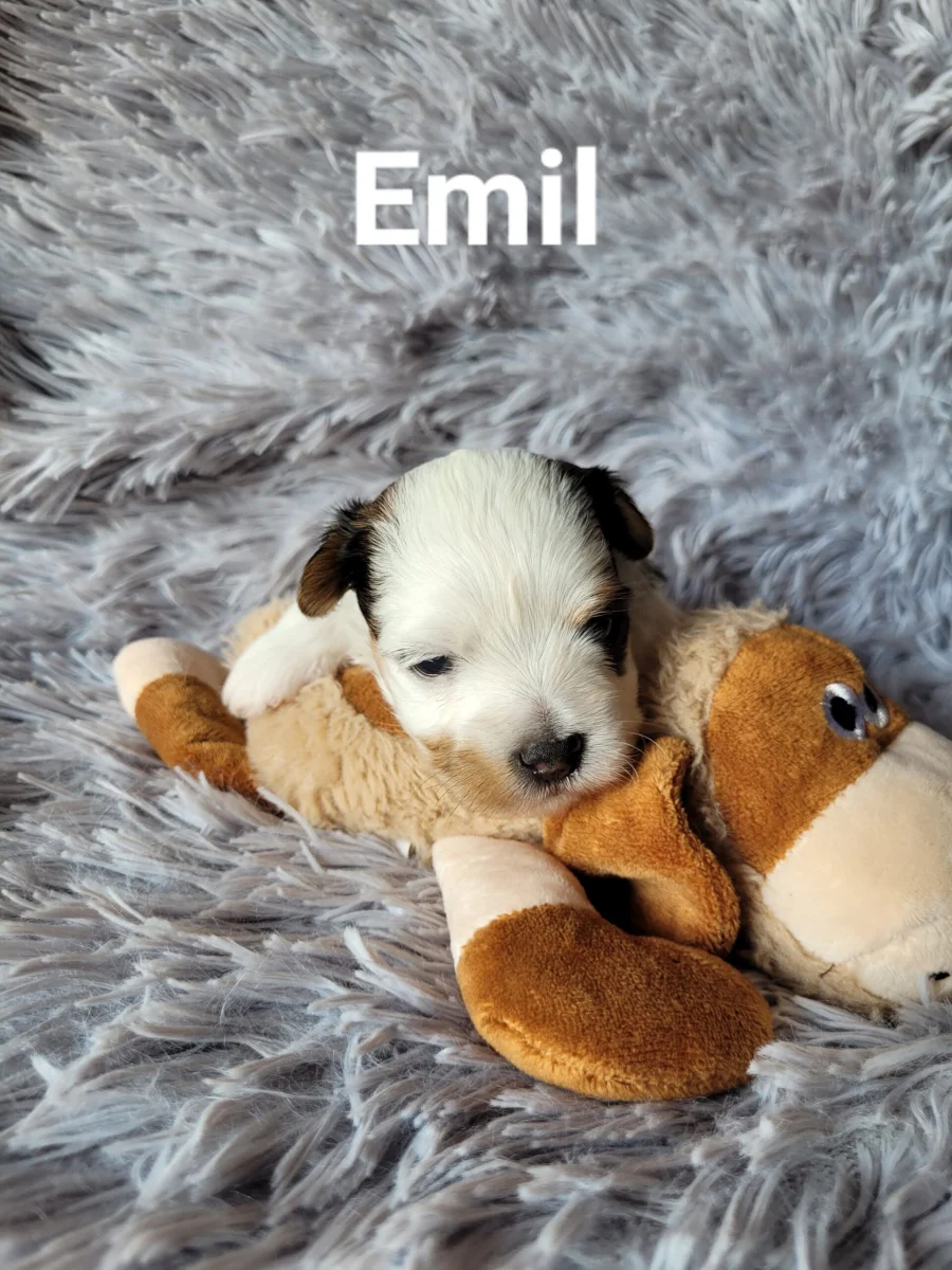 emil
