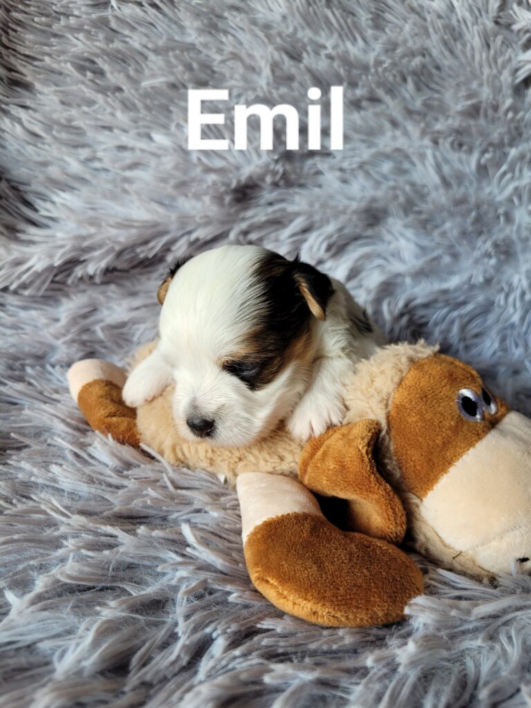 emil